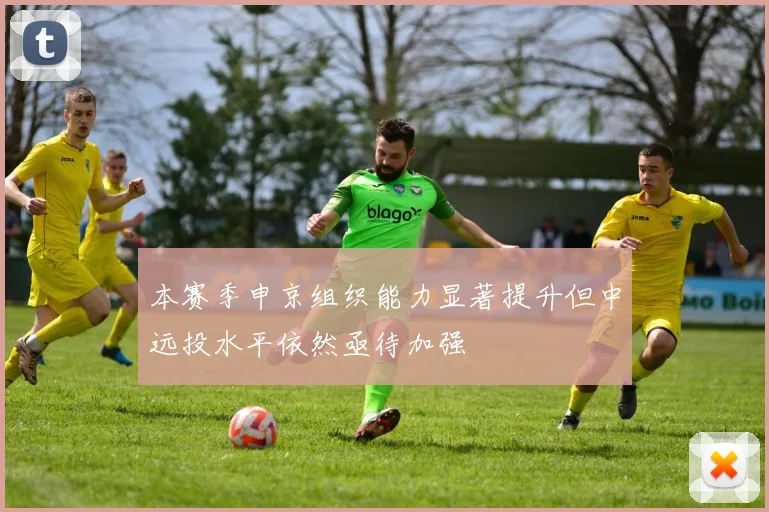 本赛季申京组织能力显著提升但中远投水平依然亟待加强