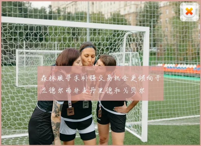 森林狼寻求补强交易机会更倾向于兰德尔而非麦丹里德和戈贝尔